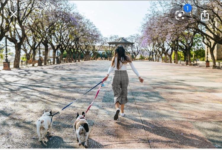 Apartamento La Estacion ヘレス エクステリア 写真